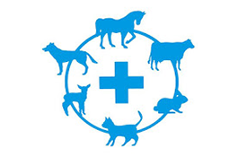 Blue Cross